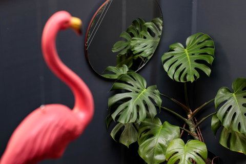 Alabama Hotel Hobart - Palm Beach Accommodation 15