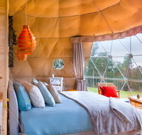 Domescapes in the Vines - Palm Beach Accommodation