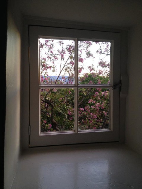 Blue Magnolia - Palm Beach Accommodation 36