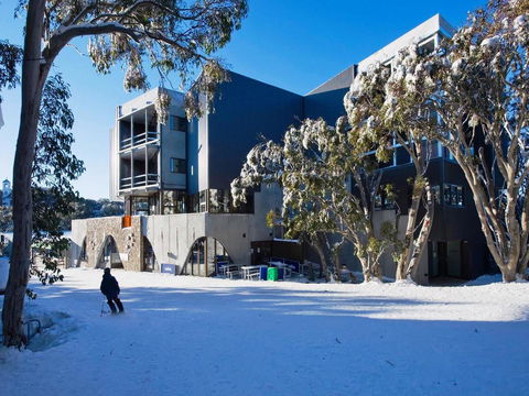 Buller Central Hotel - Palm Beach Accommodation 9