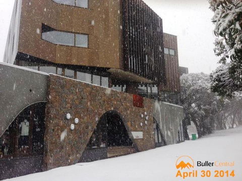 Buller Central Hotel - Palm Beach Accommodation 11