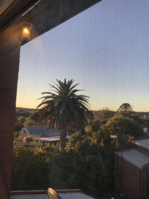Campbell St Lodge - Palm Beach Accommodation 33