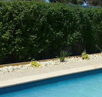 Robinvale Bridge Motel - Palm Beach Accommodation