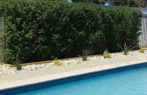 Robinvale Bridge Motel - Palm Beach Accommodation 0