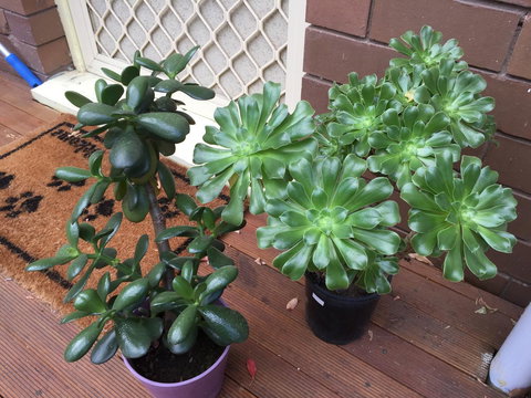 Doncaster Westfield Home Stay - Palm Beach Accommodation 23