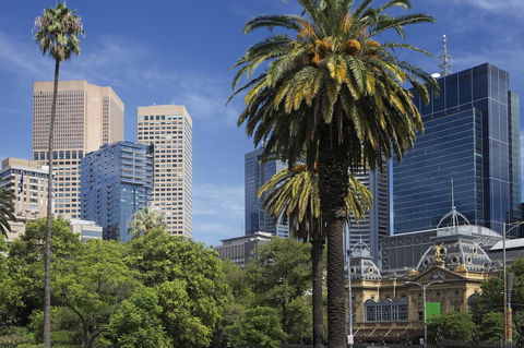 Sheraton Melbourne Hotel - Palm Beach Accommodation 35