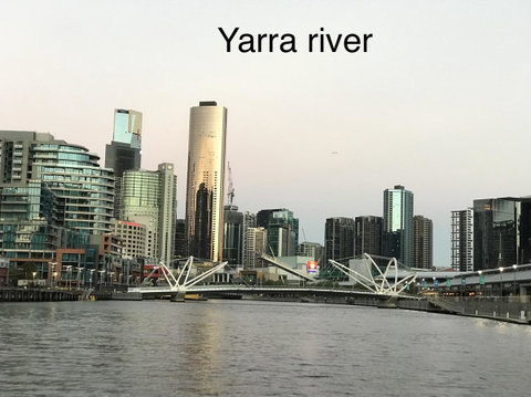 225 Melbourne Tower - Palm Beach Accommodation 9