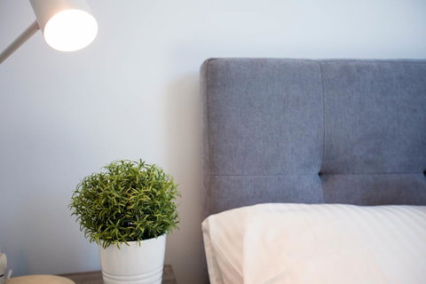 Southbank Biz-Biz Hotel Apartment - Palm Beach Accommodation 30