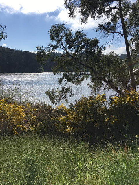 Lakeside Conti Villas - Palm Beach Accommodation 8