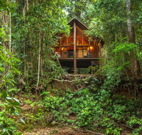 The Canopy Rainforest Treehouses  Wildlife Sanctuary - Palm Beach Accommodation