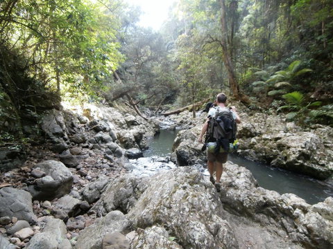 The Canungra Motel - Palm Beach Accommodation 1