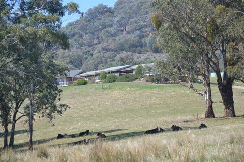 The Homestead At Holmeslgen At Eildon - Palm Beach Accommodation 1