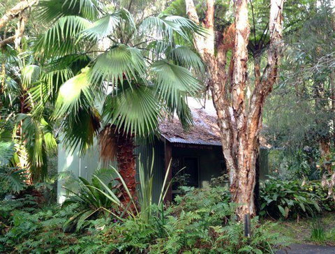 The Oasis At One Mile Beach - Palm Beach Accommodation 0