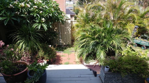 Ven & Marks Place - Palm Beach Accommodation 2
