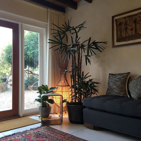 Be&be Castlemaine - Palm Beach Accommodation 1