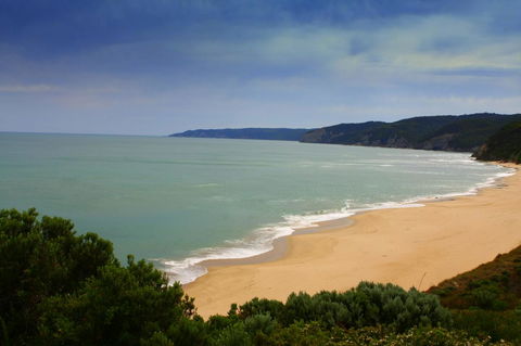 Johanna Seaside Cottages - Palm Beach Accommodation 28