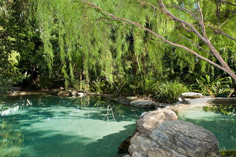 Thala Beach Nature Reserve - Palm Beach Accommodation 30