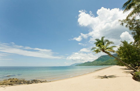 Thala Beach Nature Reserve - Palm Beach Accommodation 34