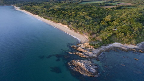 Thala Beach Nature Reserve - Palm Beach Accommodation 11