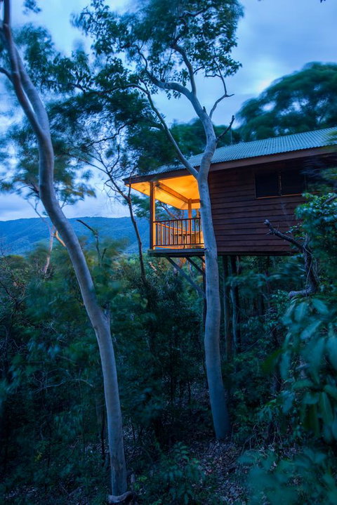 Thala Beach Nature Reserve - Palm Beach Accommodation 19