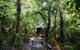 Thala Beach Nature Reserve - thumb 21