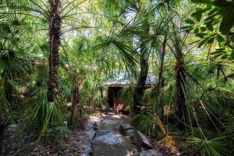 Thala Beach Nature Reserve - Palm Beach Accommodation 21