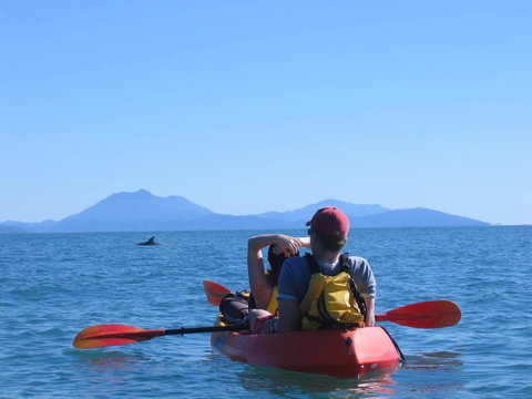 Thala Beach Nature Reserve - Palm Beach Accommodation 44