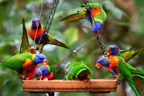 Thala Beach Nature Reserve - Palm Beach Accommodation 43