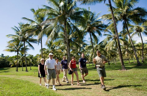 Thala Beach Nature Reserve - Palm Beach Accommodation 42