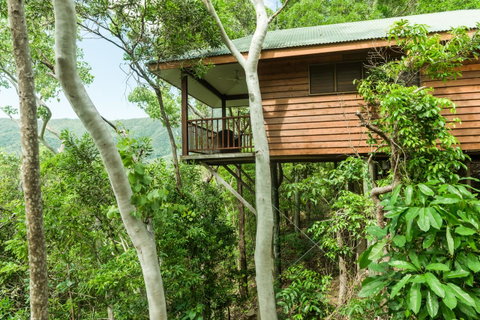 Thala Beach Nature Reserve - Palm Beach Accommodation 17