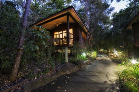 Thala Beach Nature Reserve - Palm Beach Accommodation 20