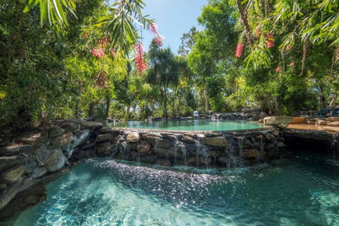 Thala Beach Nature Reserve - Palm Beach Accommodation 28