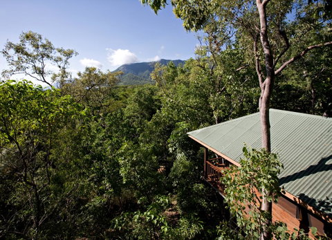 Thala Beach Nature Reserve - Palm Beach Accommodation 18