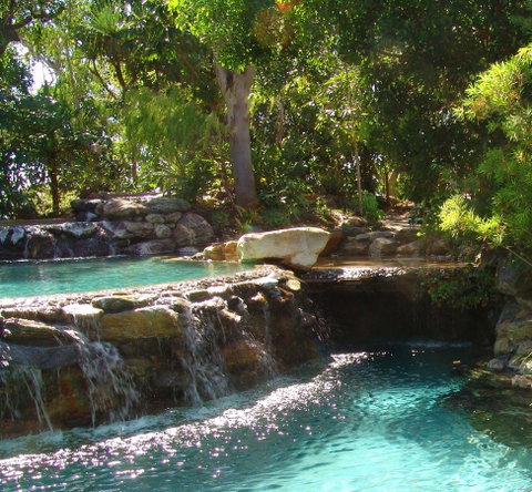 Thala Beach Nature Reserve - Palm Beach Accommodation 29