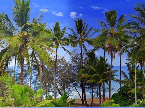 By The Sea Port Douglas - Palm Beach Accommodation 3