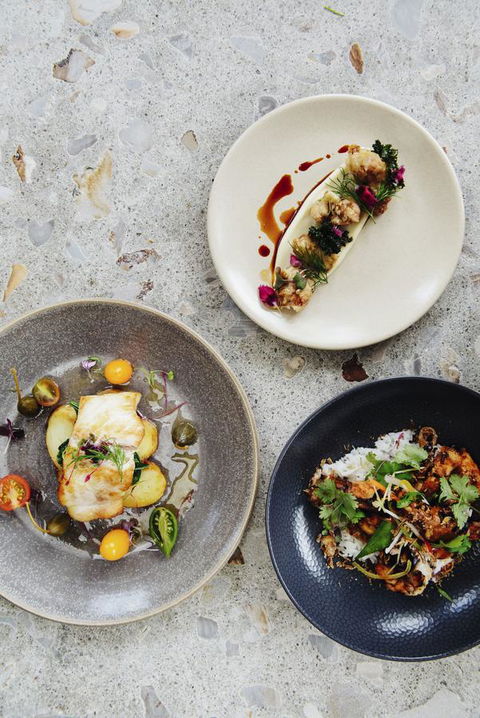 Pullman Port Douglas Sea Temple Resort And Spa - Palm Beach Accommodation 34