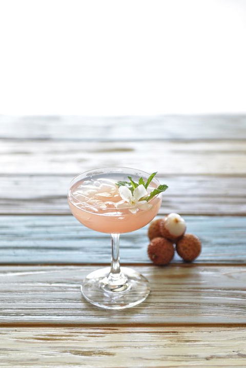 Pullman Port Douglas Sea Temple Resort And Spa - Palm Beach Accommodation 42