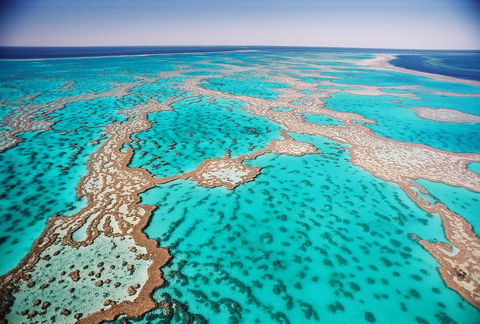 Poinciana 112 - Palm Beach Accommodation 20