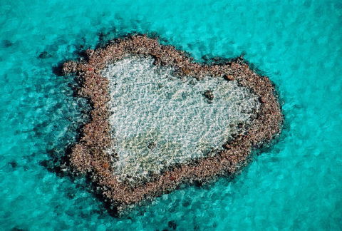 Poinciana 112 - Palm Beach Accommodation 21