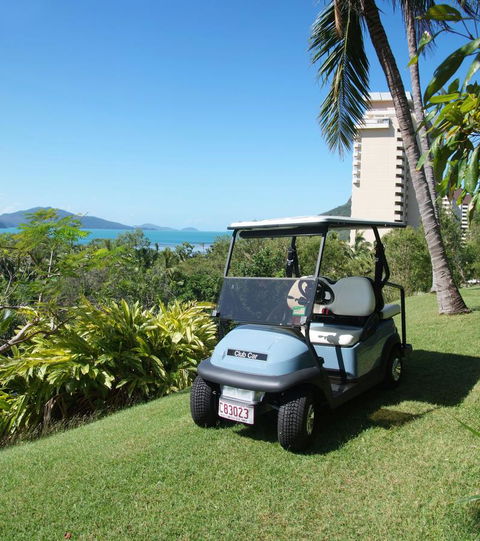 Poinciana 112 - Palm Beach Accommodation 8