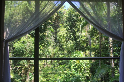 Silky Oaks Lodge - Palm Beach Accommodation 3