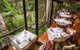 Silky Oaks Lodge - thumb 6