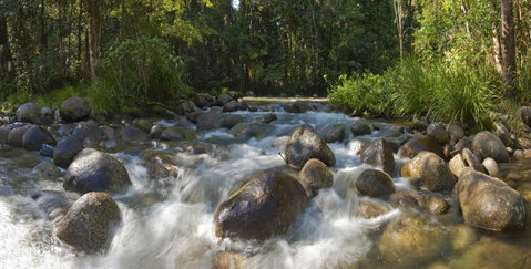 Silky Oaks Lodge - Palm Beach Accommodation 20