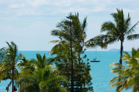 Heart Hotel And Gallery Whitsundays - Palm Beach Accommodation 13