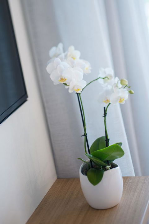 Heart Hotel And Gallery Whitsundays - Palm Beach Accommodation 28