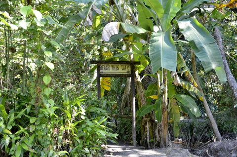 PK\'s Jungle Village - Palm Beach Accommodation 23