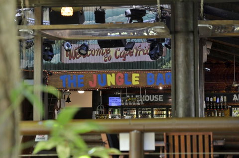 PK\'s Jungle Village - Palm Beach Accommodation 20