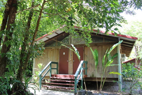 PK\'s Jungle Village - Palm Beach Accommodation 6