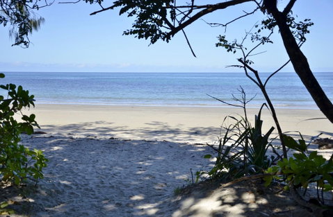 PK\'s Jungle Village - Palm Beach Accommodation 26