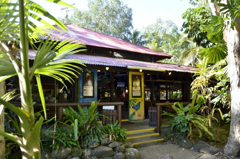 PK\'s Jungle Village - Palm Beach Accommodation 14